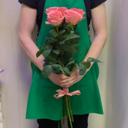 Букет из 5 розовых эквадорских роз 70 см - увеличить