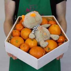 Фруктовая корзина из апельсинов с игрушкой "Кот Витаминчик" - увеличить