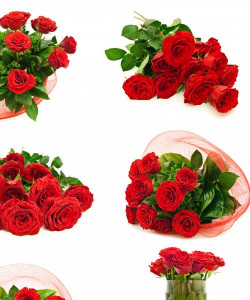 Розы за 35 рублей от 101 шт. - увеличить