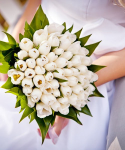 Букет невесты из белоснежных тюльпанов - увеличить