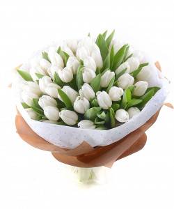 Букет из 51 белого тюльпана «Чистый» - увеличить