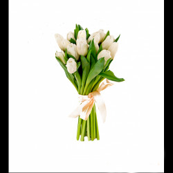 Букет из 15 белых тюльпанов - увеличить