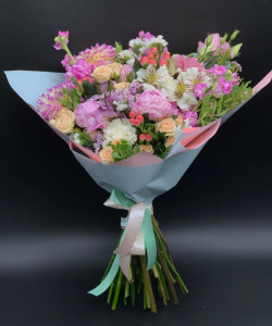 ����� �������� - ���������