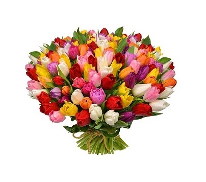 Букет из 65 разноцветных тюльпанов